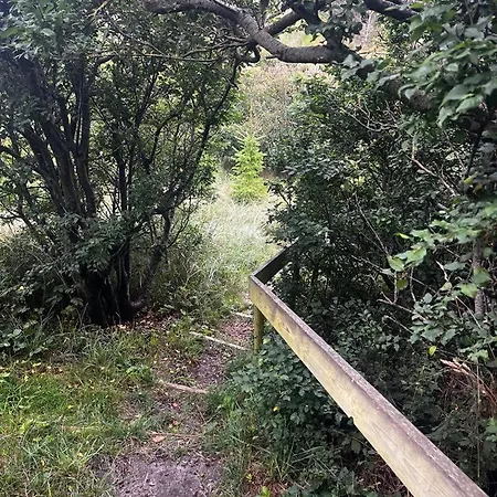 101 The Unique View *
